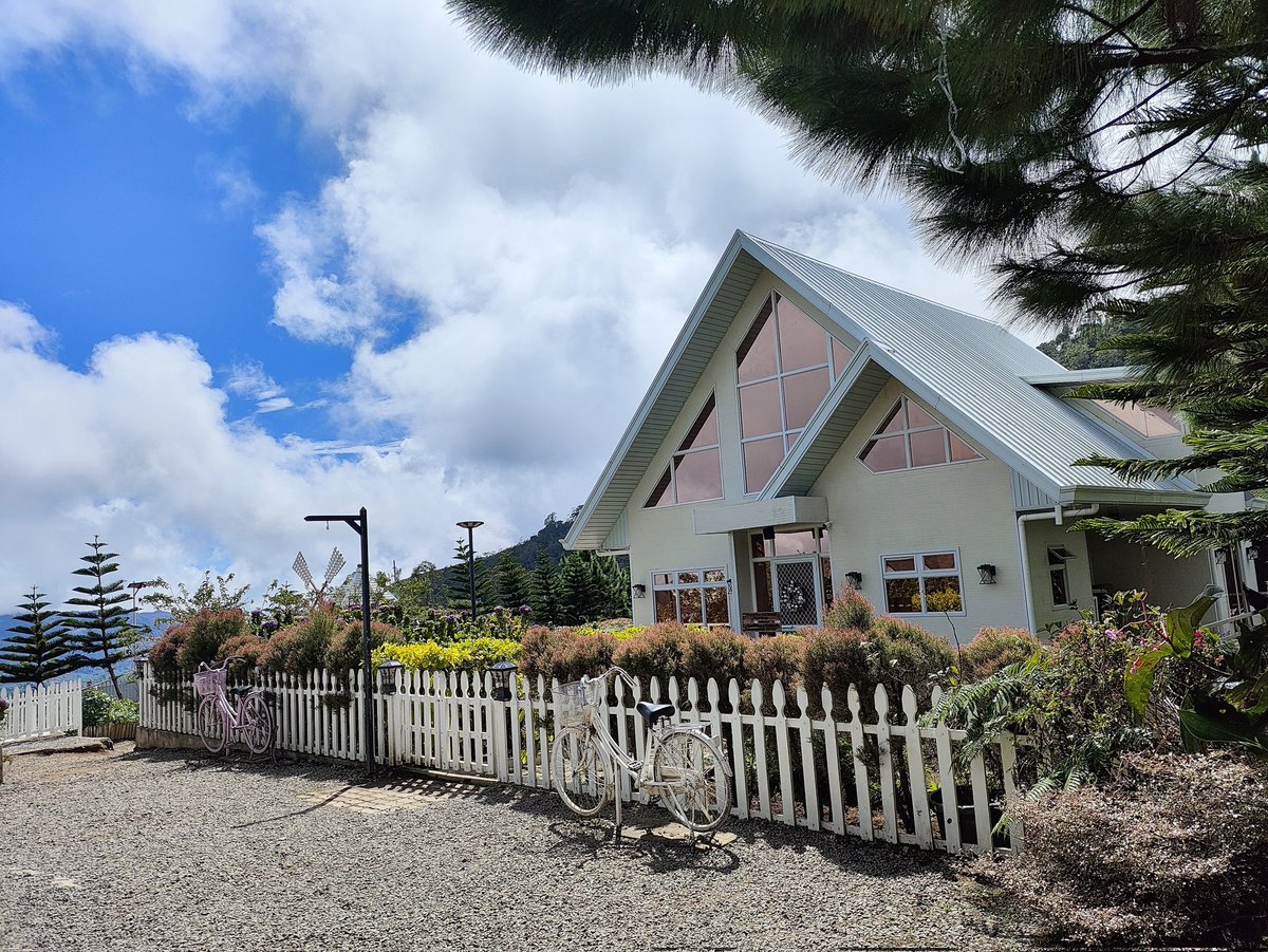 ashexiest's tweet image. 🪻