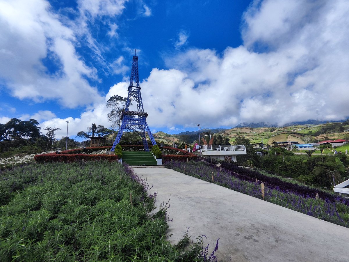 ashexiest's tweet image. 🪻