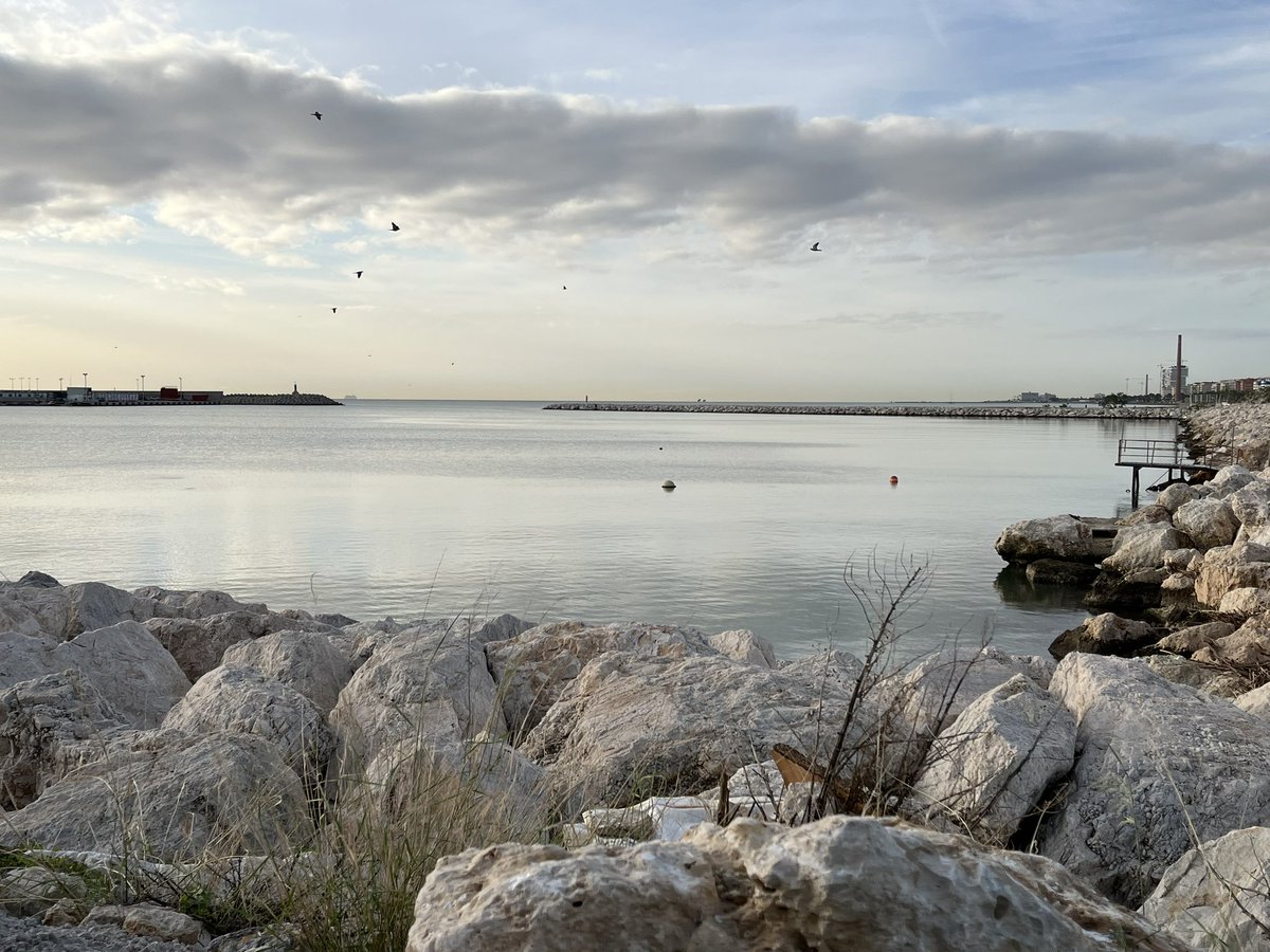 Elaine_Maslin's tweet photo. Malaga! Here for a deep dive into communications around science and our ocean. Fantastic waterfront venue at @IEOoceanografia - not too unlike home! #oceanscience #communications #oneocean #malaga #CommOCEAN https://t.co/G5wsYSEnNh
