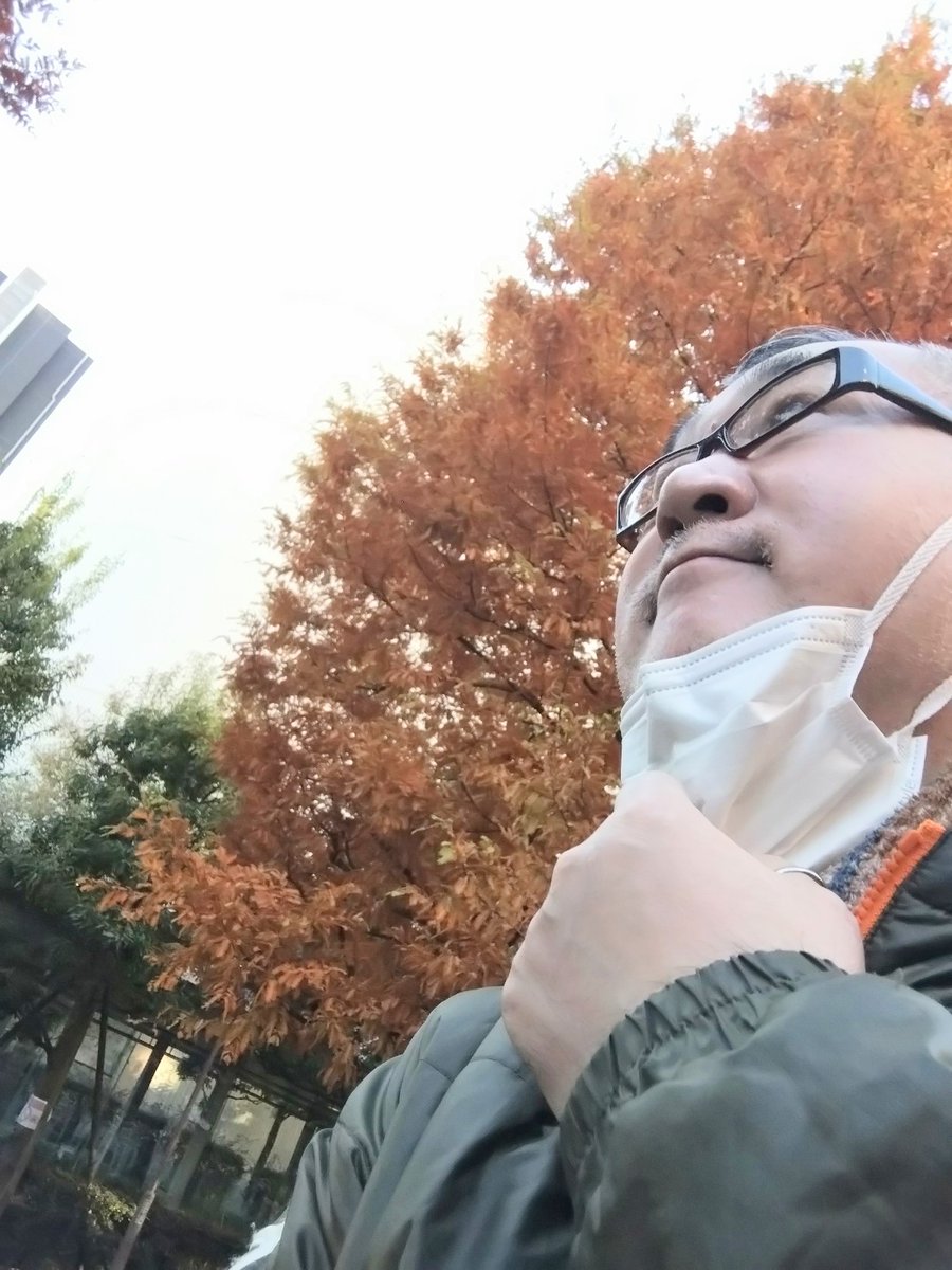 昨日、部屋に帰ったら
室温が１４℃
いくらケチケチな文治でも
これ以上は耐えるのが難しいので
今シーズン初めての暖房をON!!

暖かい〜♪
マヤが冷凍庫から出てきたよーな
笑顔でございます。(^_^)

でも
外はまだまだ寒くなりまふ
風邪ひかないように
みなさんも気をつけてくださいね〜
(^_^)ノ゙