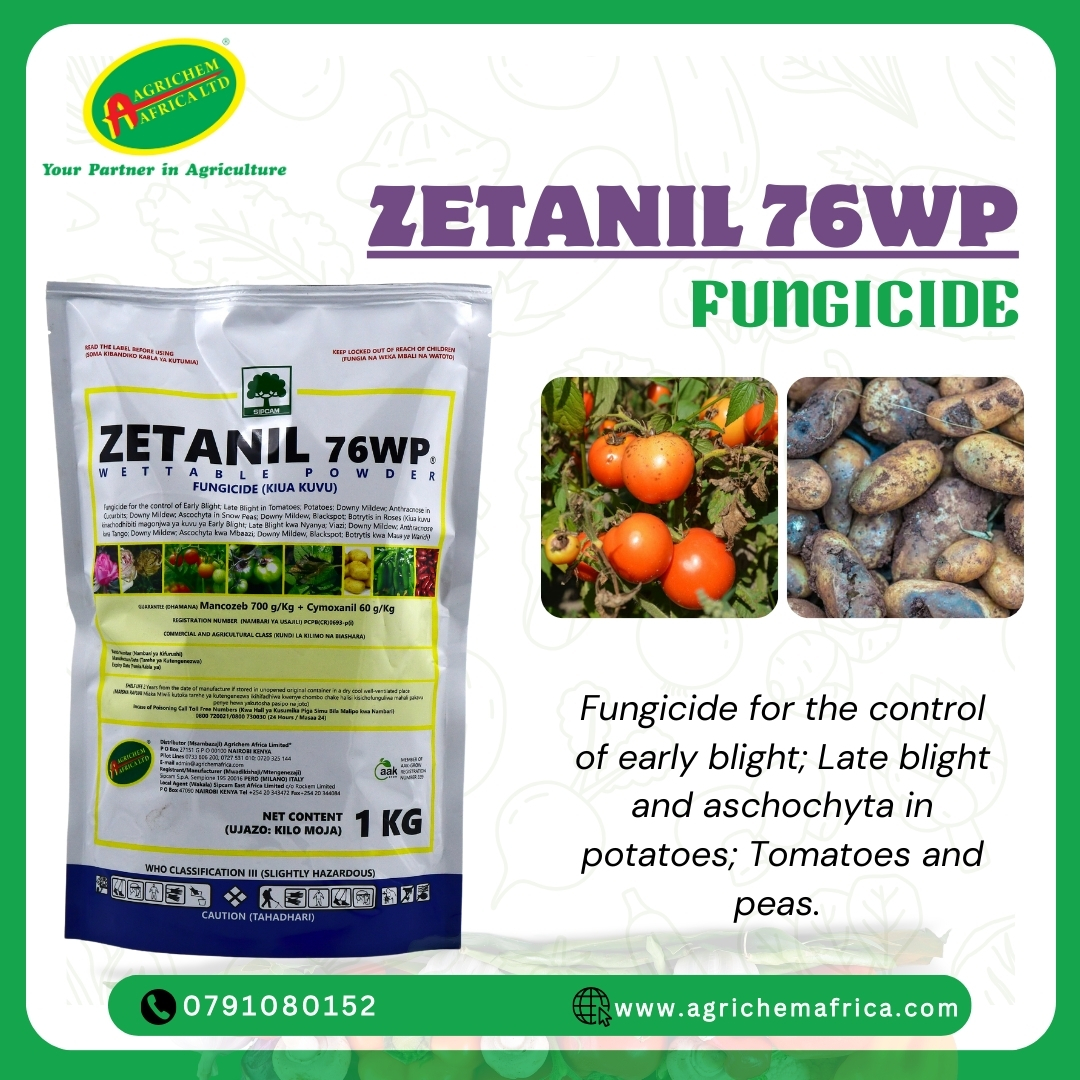 AgrichemAfrica's tweet photo. 🌱 Protect your tomatoes, potatoes &amp; peas this short rains season with Zetanil 76WP!

✅ Controls &amp; prevents Early Blight, Late Blight &amp; Ascochyta.
💪 Safeguard your crops for a top yield!
#Zetanil76WP #HealthyCrops #TopYield #Agribusiness https://t.co/HJJ1fSYl2O