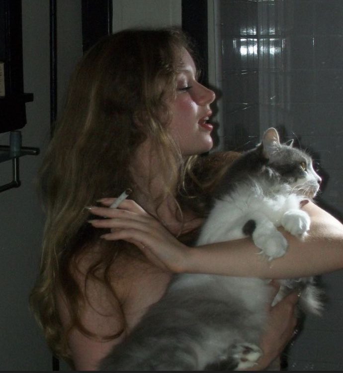 suaverotic's tweet image. 