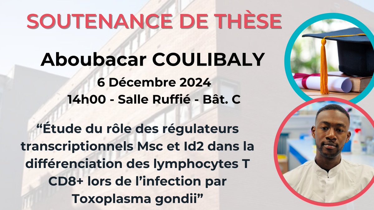 Infinity Toulouse (@infinitytls) on Twitter photo Nous avons le plaisir  d'annoncer la soutenance de thèse de notre étudiant 👉Aboubacar Coulibaly qui  aura lieu le 06.12.2024 à 14h00, Salle Ruffié, Bât. C à Purpan. Nous vous invitons à venir découvrir ses travaux de thèse (détail dans l'annonce).  
Venez le soutenir !🙂 Nous avons le plaisir  d'annoncer la soutenance de thèse de notre étudiant 👉Aboubacar Coulibaly qui  aura lieu le 06.12.2024 à 14h00, Salle Ruffié, Bât. C à Purpan. Nous vous invitons à venir découvrir ses travaux de thèse (détail dans l'annonce).  
Venez le soutenir !🙂