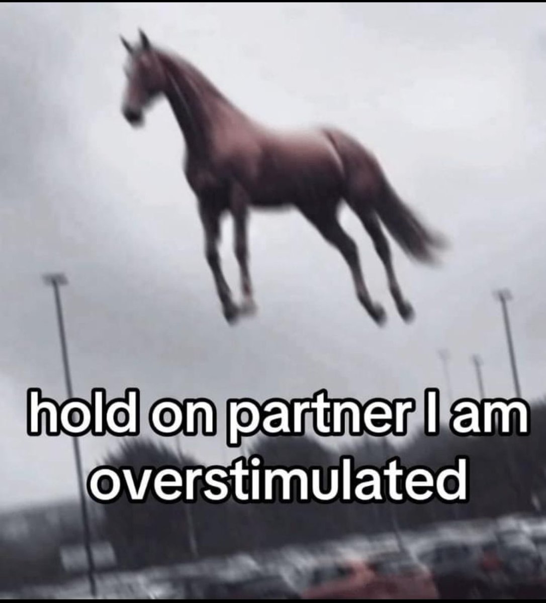 ADHD Memes (@adhdforreal) on Twitter photo 
