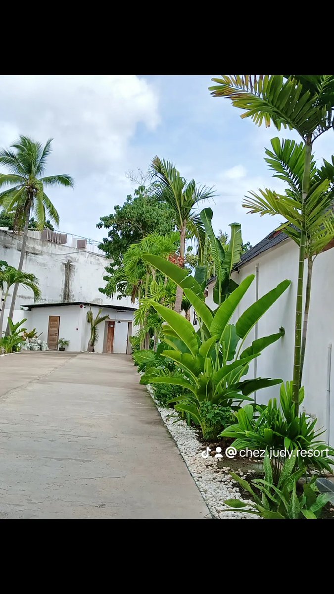 ChezJudyResort's tweet photo. Your island escape awaits at Chez Judy. 🌴☀️ 
Dive into luxury, unwind in style, and create unforgettable memories. https://t.co/LfN5GLLgw3