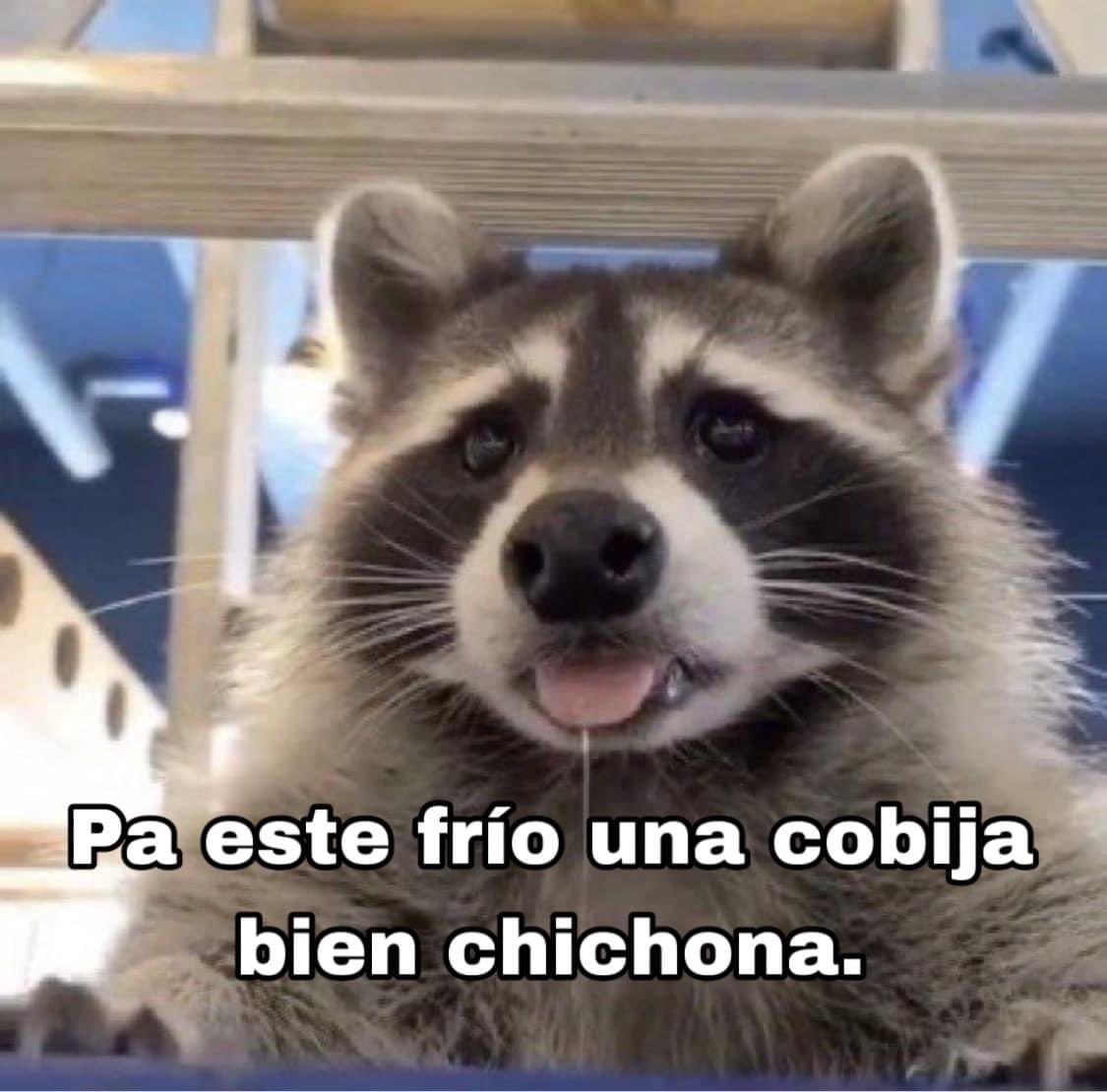 Pues nos quedamos a nada del primer parlay cariñosa del grupo, vamos a ganar mínimo 3 cobijas van a ver 😏