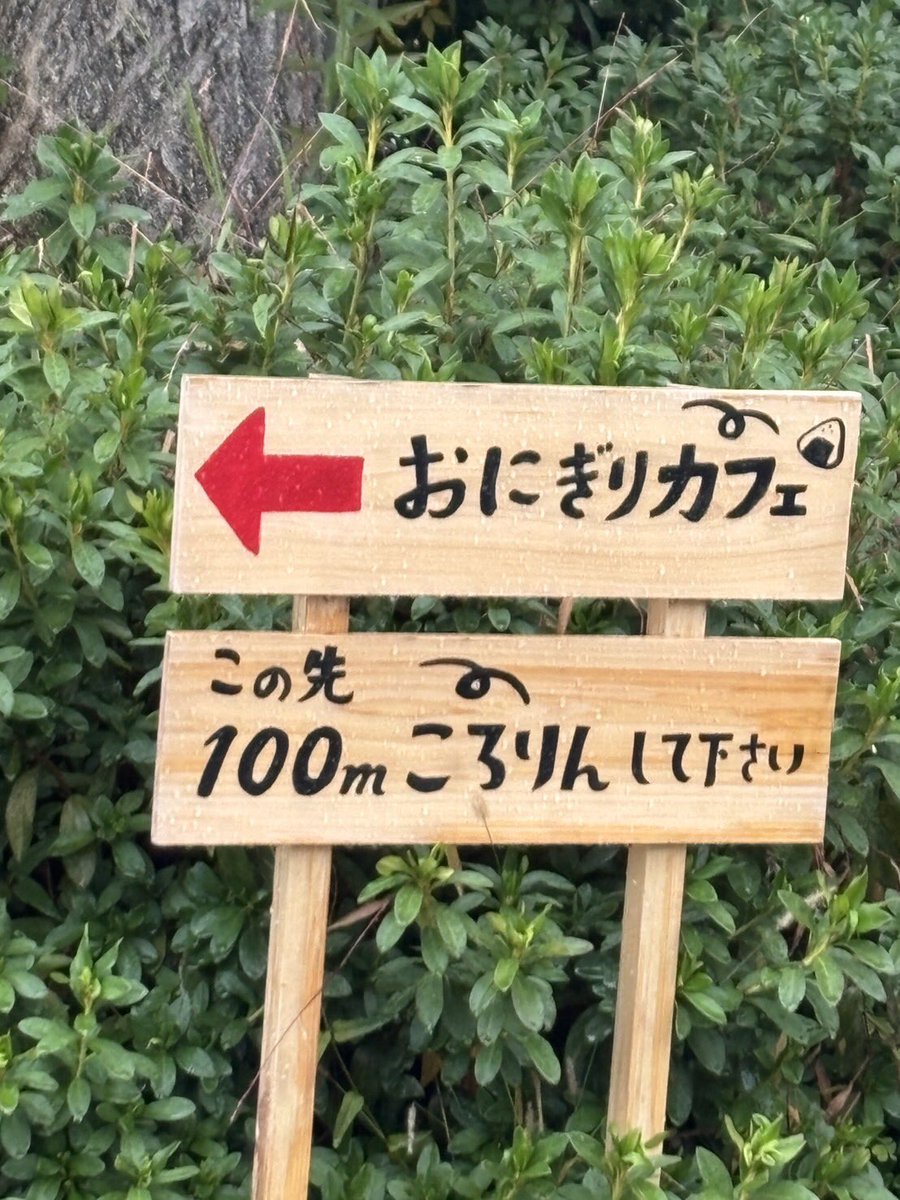 yuyu_nitijyo's tweet photo. ばっちばちに美味かった https://t.co/EMNiiT8vmQ