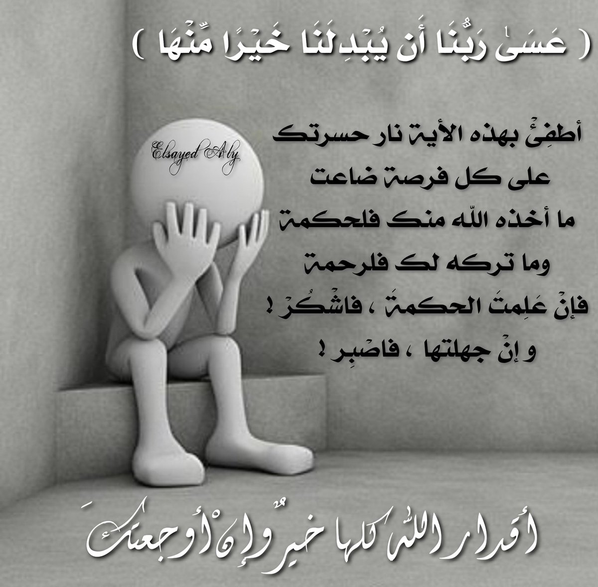 rebel_bird's tweet photo. https://t.co/3wr8KxxZpd