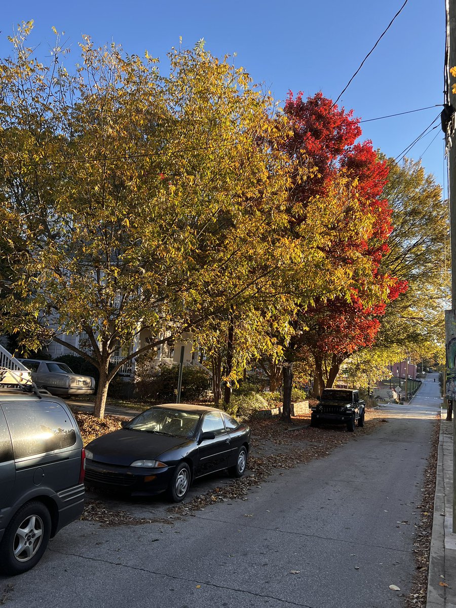 Things people miss out on spending so much time in vehicles. Cities are meant for multimodal movement.