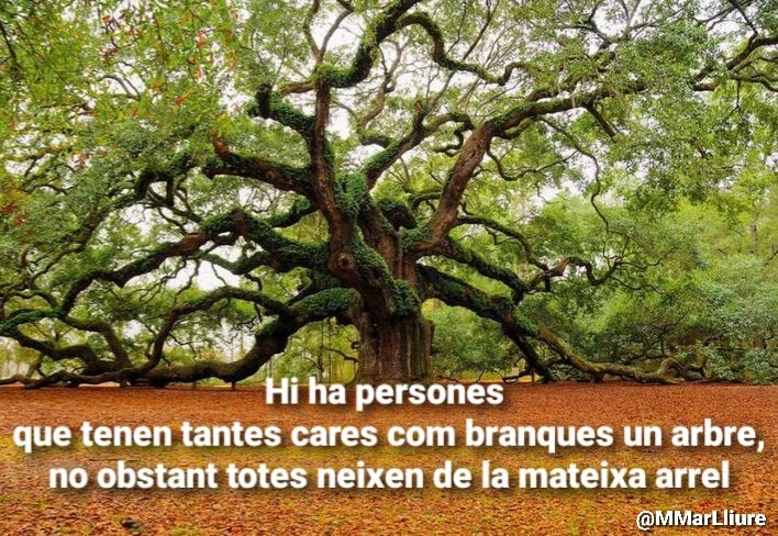 Bon dia a tothom!!🌻🌈🍀