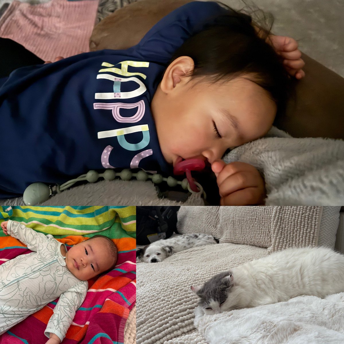MikuniTaro's tweet image. One of my new dreams is to be the most loving grandpa! I haven’t bought any toys or candy yet, but I’m focusing on giving the gift of my time. Photo credit: @photosykes 📸#Monday #MemoryDay #JesusLovesMe ❤️