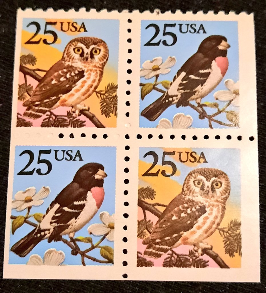 Big hoot out to all the night owls out there! #stamps #Saturday 🦉