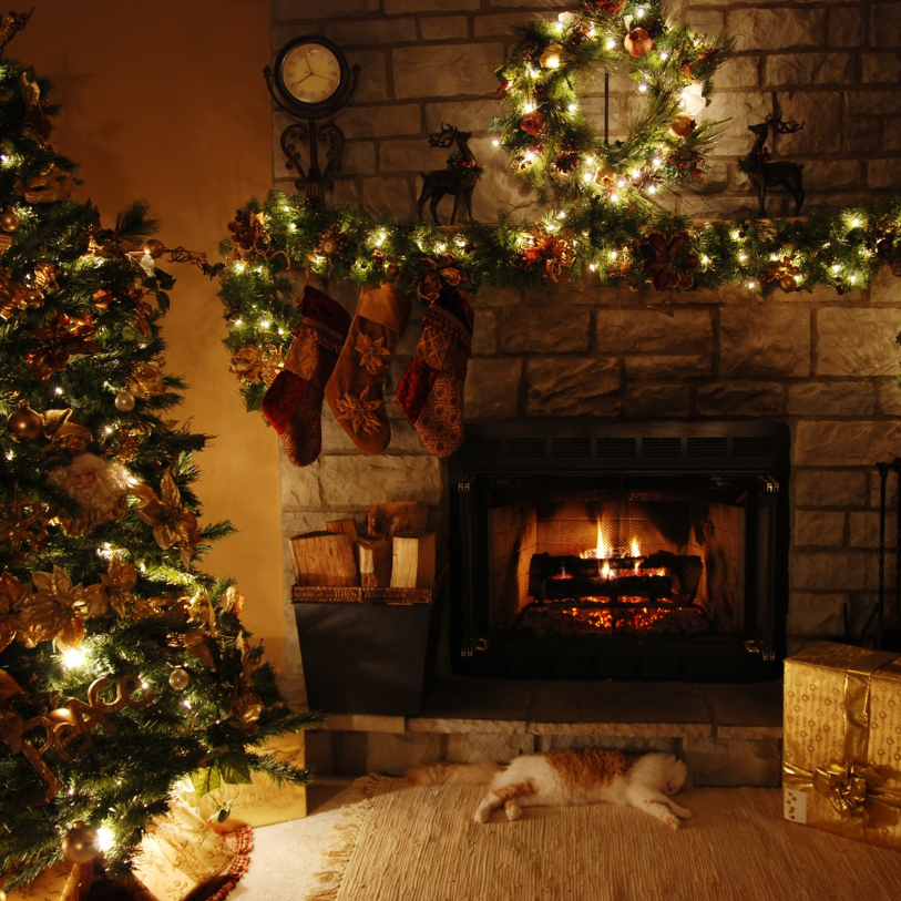 WorldEquips's tweet photo. 🐱猫さんにおすすめ商品🐱

来客やお留守番、お部屋の模様替えで体調を崩しがちな猫さんには、メンタルヘルスをサポートする【カルメックス】があると安心です😌花火の前にもオススメ🎆

https://t.co/h4RG9wyLVy https://t.co/r2nWfPTUaK