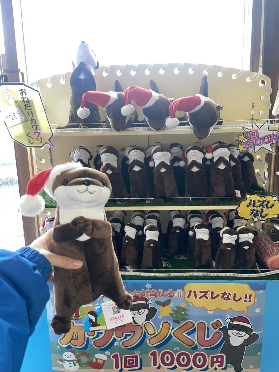 今年もやってきた❗️ 【期間限定】カワウソサンタ&ジンベエサンタ