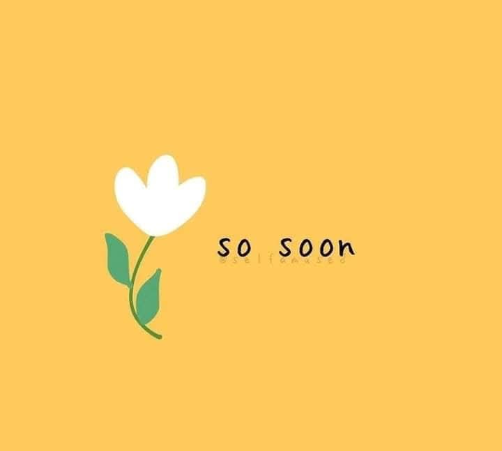 He will fix everything soon.