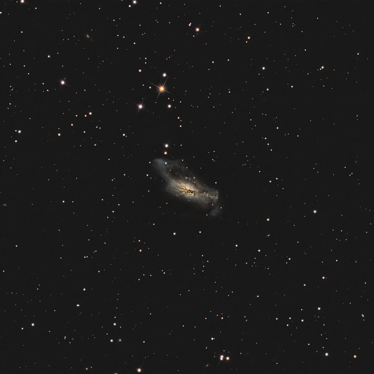 coo_xyz's tweet photo. Supernova SN2024ABFL in the NGC2146
11/15に板垣さんが発見しました
思ったより暗いかなぁ・・・
発見時より減光してるかも
#GSO8RC #ASI533MC #AM5 #LPRO
180sec x 100 Gain100 -10deg
Sakai, Ibaraki, Japan
2024/11/25 https://t.co/mF09POkiYh