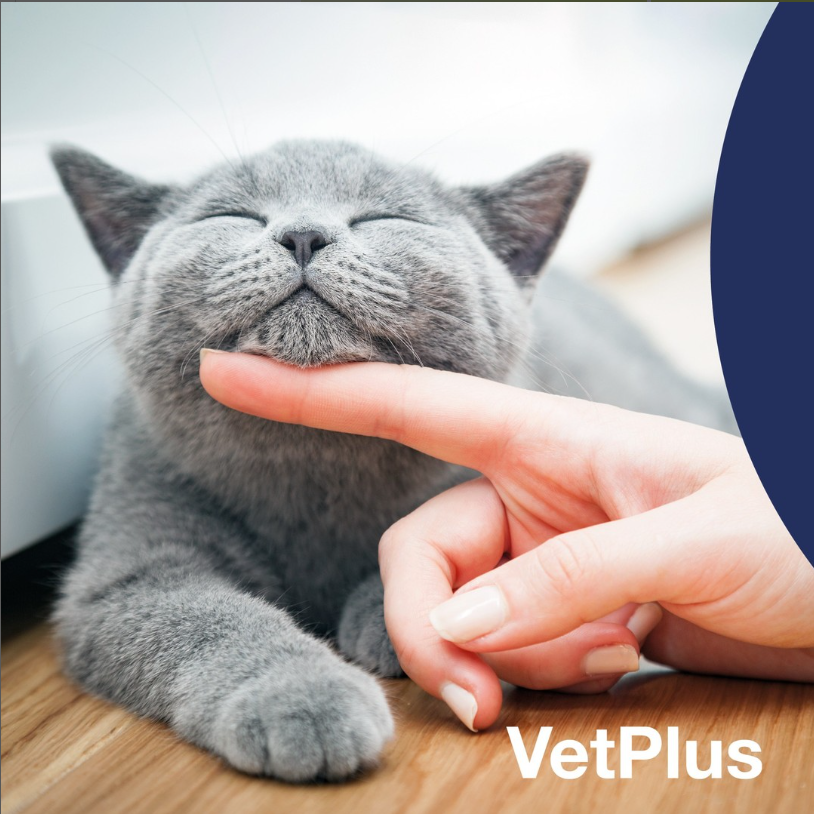 WorldEquips's tweet photo. 🐱猫さんにおすすめ商品🐱

来客やお留守番、お部屋の模様替えで体調を崩しがちな猫さんには、メンタルヘルスをサポートする【カルメックス】があると安心です😌花火の前にもオススメ🎆

https://t.co/h4RG9wye60 https://t.co/xWyCQYGuzN