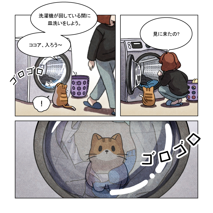 poundcat_'s tweet photo. しばらくすると、洗濯機にはココアの毛がたくさんついていました。

#poundcat https://t.co/AaSXCQXGAQ