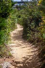 Notably, it delivered a testnet and introduced the hybrid G6 MiddleWare (MW) technology, which enables enterprises to operate securely within private environments while still benefiting from blockchain’s core strengths — immutability, security and event verification.