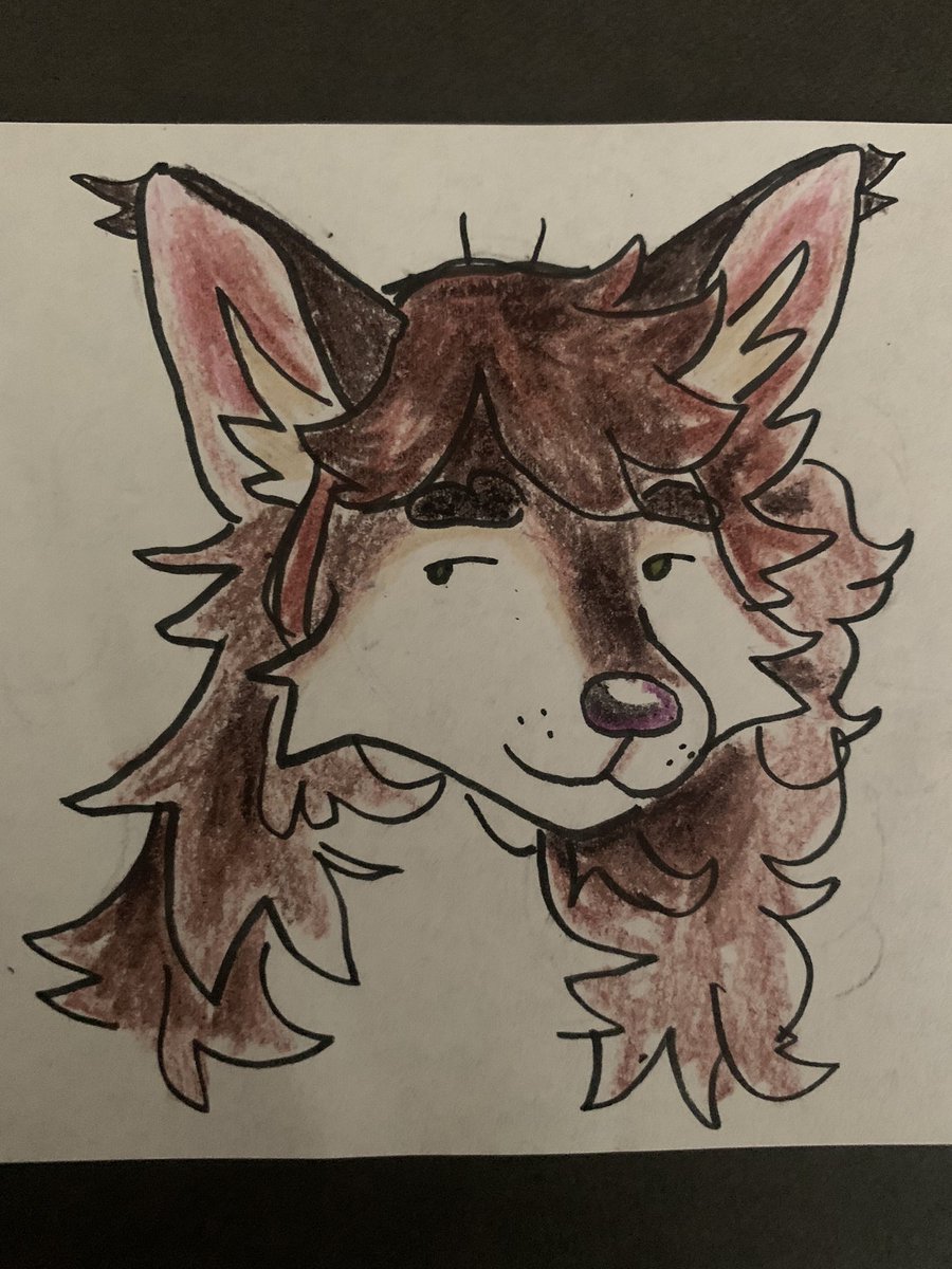 how draw furry long hair???? ignore tha bangs 🫣 but wahhh he has no bangs irl how the f am i sposed to hahahahaha furry w no bangs is angel w no wings