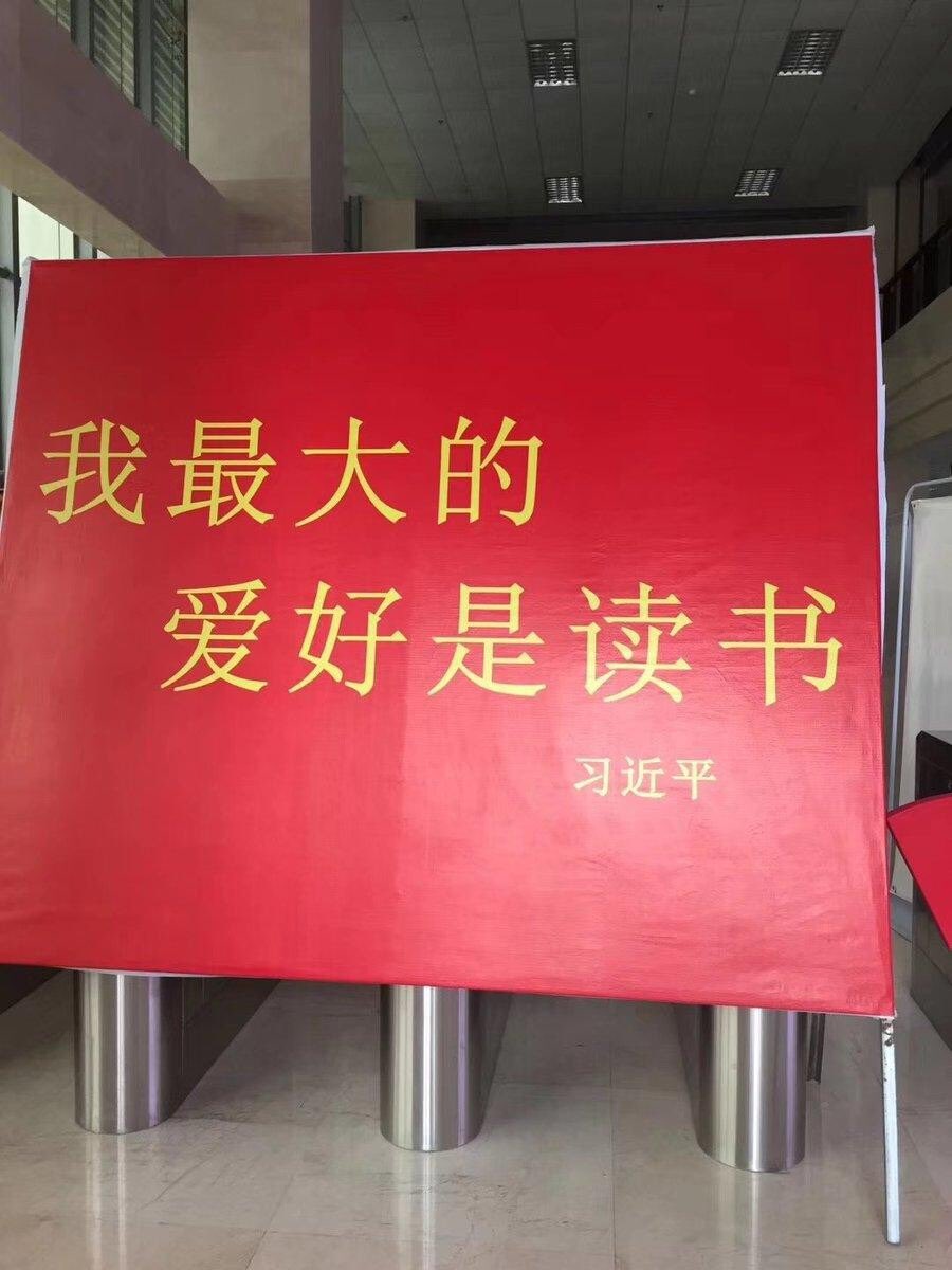 躺在沙发上看书，继续阅读《布鲁克林有棵树》，读得慢是因为有时候溜号到别的书了，习近平说“我最大的爱好是读书”，嘿嘿，我最大的爱好也是读书，有109本在读书，本本没读完。