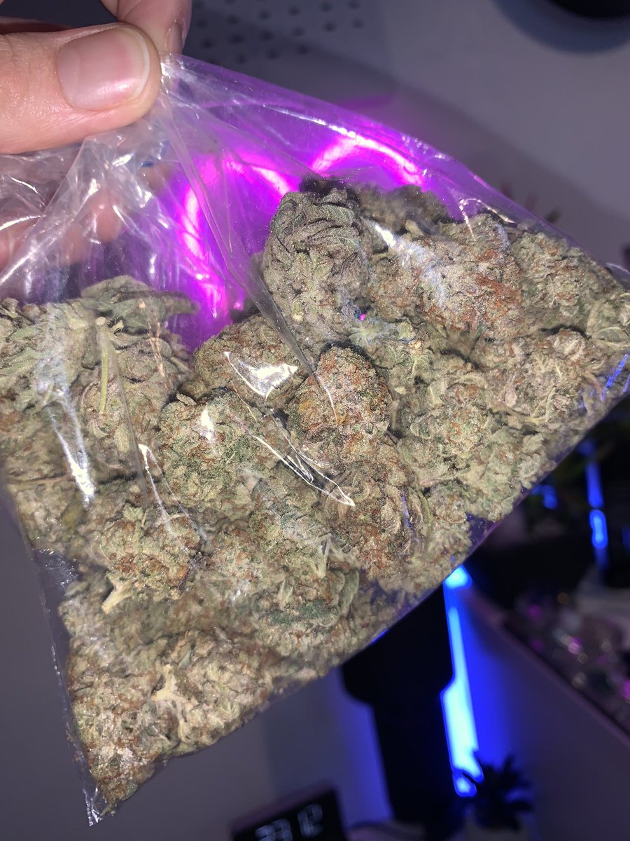 STONERS R US 🍃 tweet media