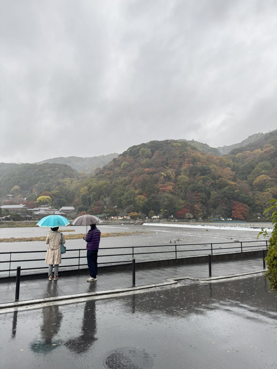 人力車 えびす屋_公式 tweet media