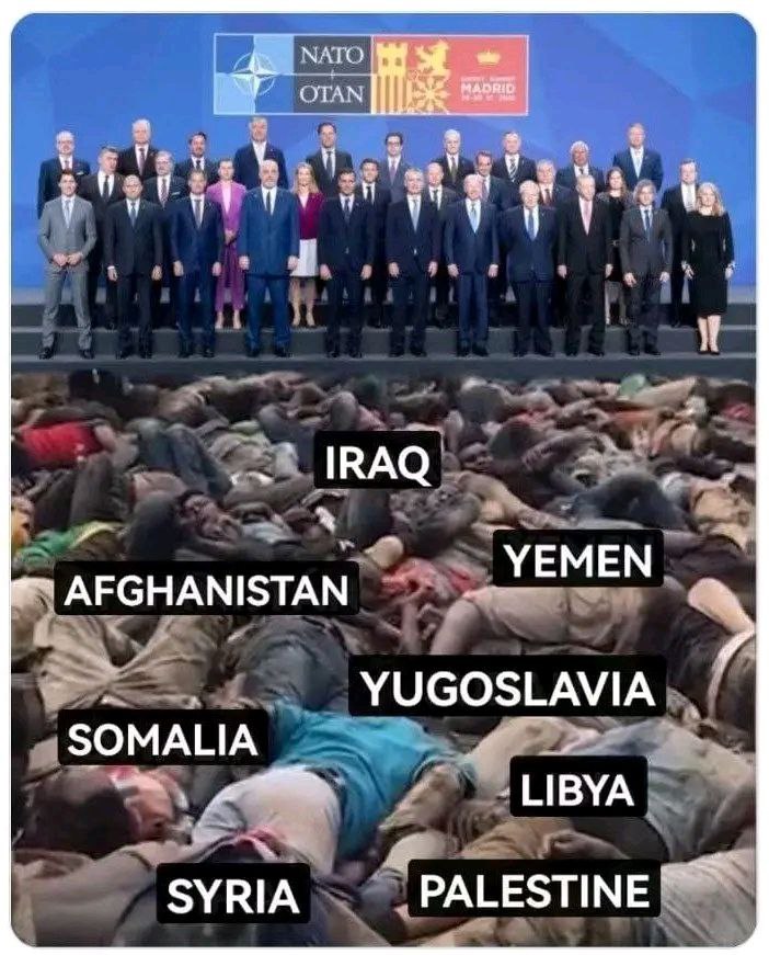 cool_grandad's tweet photo. Look at him standing on a mountain of dead bodies. Lammy voted for Iraq on lies. A no fly zone over Libya destroyed the richest country in Africa Lammy is a violent who loves war. He is a dictator we have not had a vote.
https://t.co/yQEJyzJ6C4
##NazisInUkraine https://t.co/QTaiaE8nLh