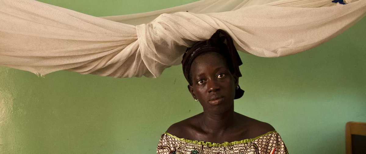 ⚠️ #Violence et harcèlement au travail : des chiffres alarmants en #Afrique de l’Ouest

🔶 <a href="/OITinfo/">Organisation internationale du Travail</a> agit avec des enquêtes pionnières pour éclairer les politiques &amp; promouvoir la #justice sociale.

📝 #blog @ILOSTAT : tinyurl.com/ypb9zc96

#PasDExcuse #RatifiezC190 #16Jours