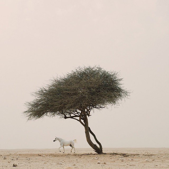 ff3p_'s tweet photo. ﴿بَديعُ السَّماواتِ وَالأَرضِ﴾
أبدع في دنيا زائلة ، فكيف في ج��ّةٍ باقية ؟! https://t.co/MkgKoICYzu