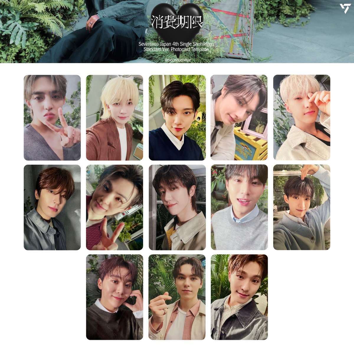seventeen japan 4th single: shohikigen — standard ver album