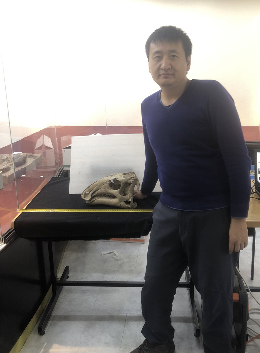 Enjoy the happy time with the Gobihadros skull in Ulaanbaatar.