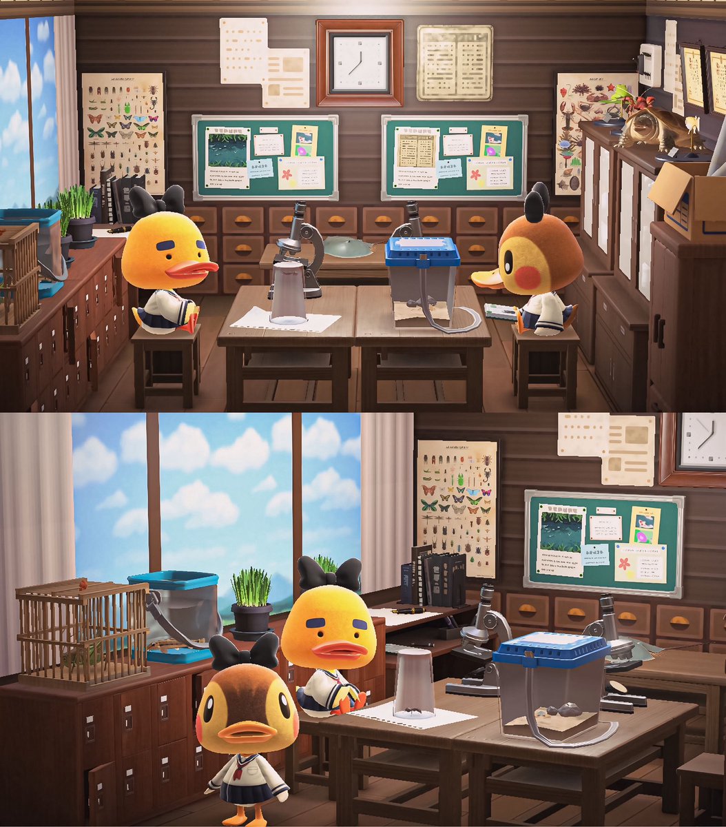 サブ島🐥サブ住民宅

アリもフナムシもどじょうも捕ってないから
変わるかもな理科室（仮）🐜🏫

#ACNH #AnimalCrossing #あつ森写真部 #あつ森