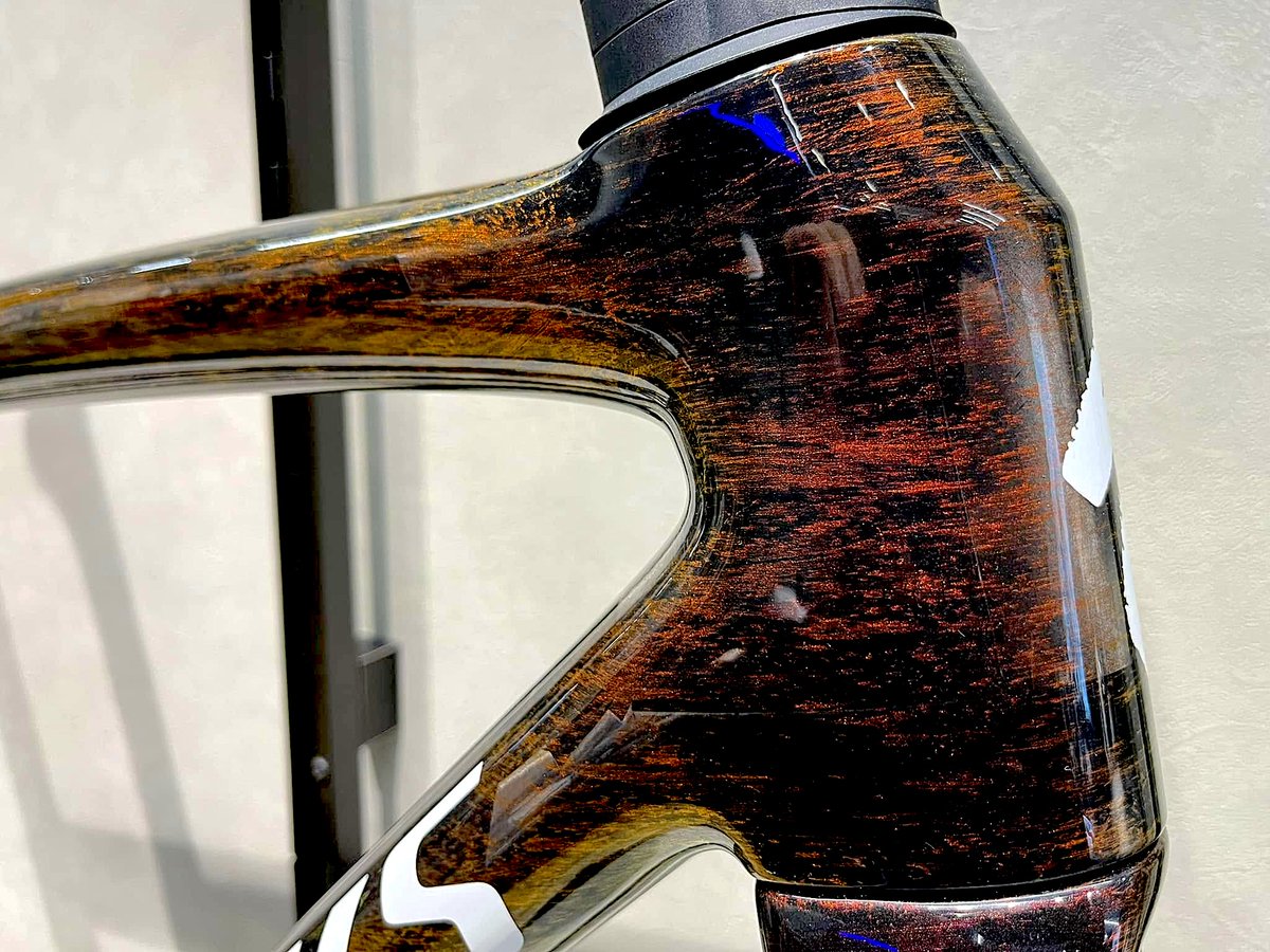 人気カラーが旅立った後には #スペシャライズド江坂 スタッフ一推しの