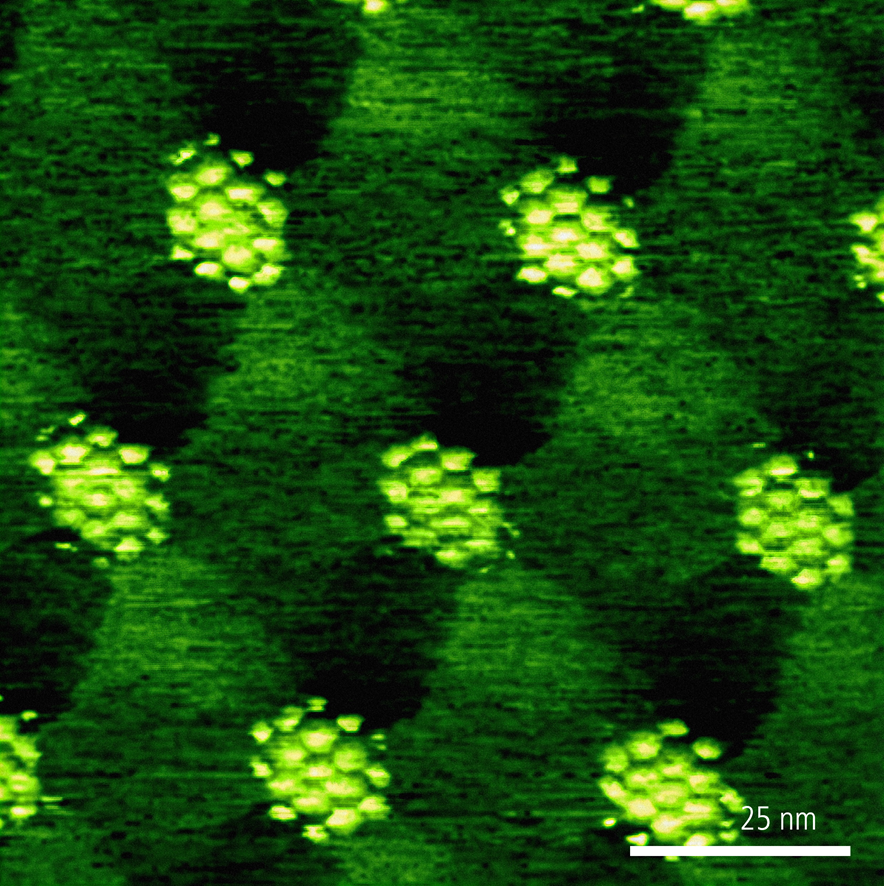 Park_Systems's tweet photo. tBG/hBNย captured by conductive AFM on Park #FX200 AFM. Fully automated XY stage (samples up to 200mm), high-performance electric. modes & automation features make the FX200 a right choice for #FailureAnalysis and advanced #materialsscienceย applications.
๐กhttps://t.co/h4NHZ15KFN https://t.co/Vw5jmVWfs1