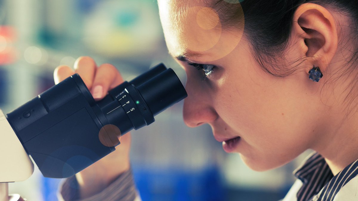 🚀 Ready to take your passion for science to the next level? Pursue a #PhD in a world-class research environment with us!💻👩‍💻

✨Kickstart your dream career. Your journey in #biomedicine begins here!

Check out our fellowships programs here!

🧵👇