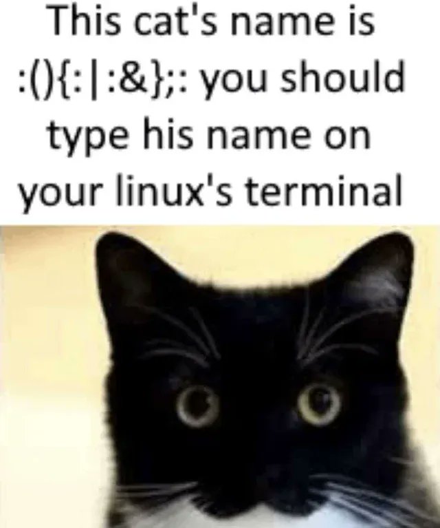 LaurieWired (@lauriewired) on Twitter photo 