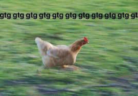 alexpritc's tweet image. 🦋 khogar.bluesky.social 🦋