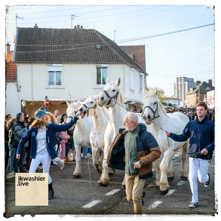 34 trekpaarden vormen parade ‘Foire de la Saint-Clément’ in Airaines op youtube.com/shorts/eVBeUHM… met #Boulonnais #TraitduNord en #Comtois ikwashier.live bewaart #tradities en #erfgoed #immaterieelerfgoed #LivingHeritage #HautsdeFrance