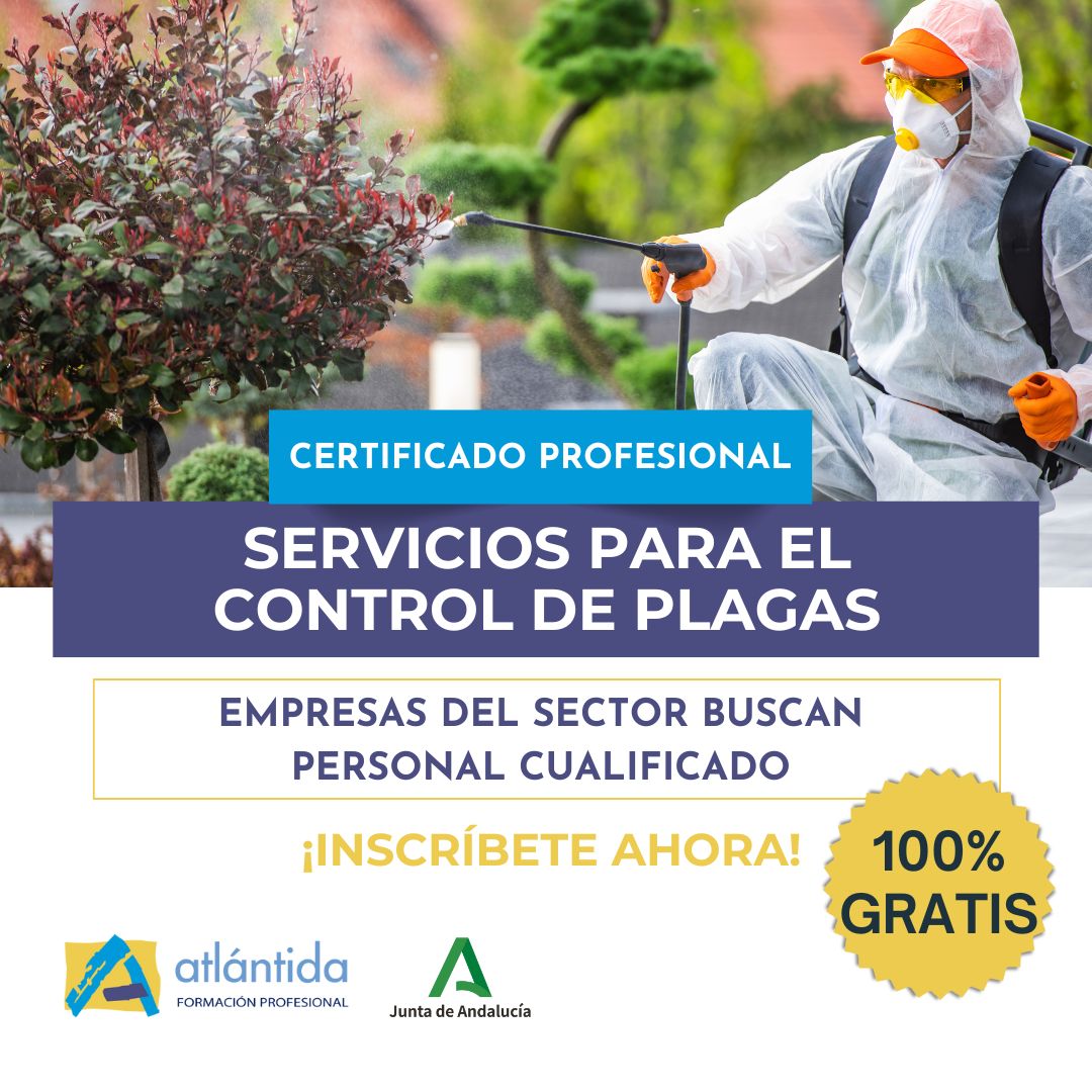 Con el #CertificadoProfesional de Servicios para el Control de Plagas, te preparas para desempeñar un trabajo esencial y altamente solicitado. 🐜✨
✅Obtén una certificación reconocida oficialmente.

¡Inscríbete ahora!
📧 cursos@atlantidaformacion.com
📞 676 40 58 08