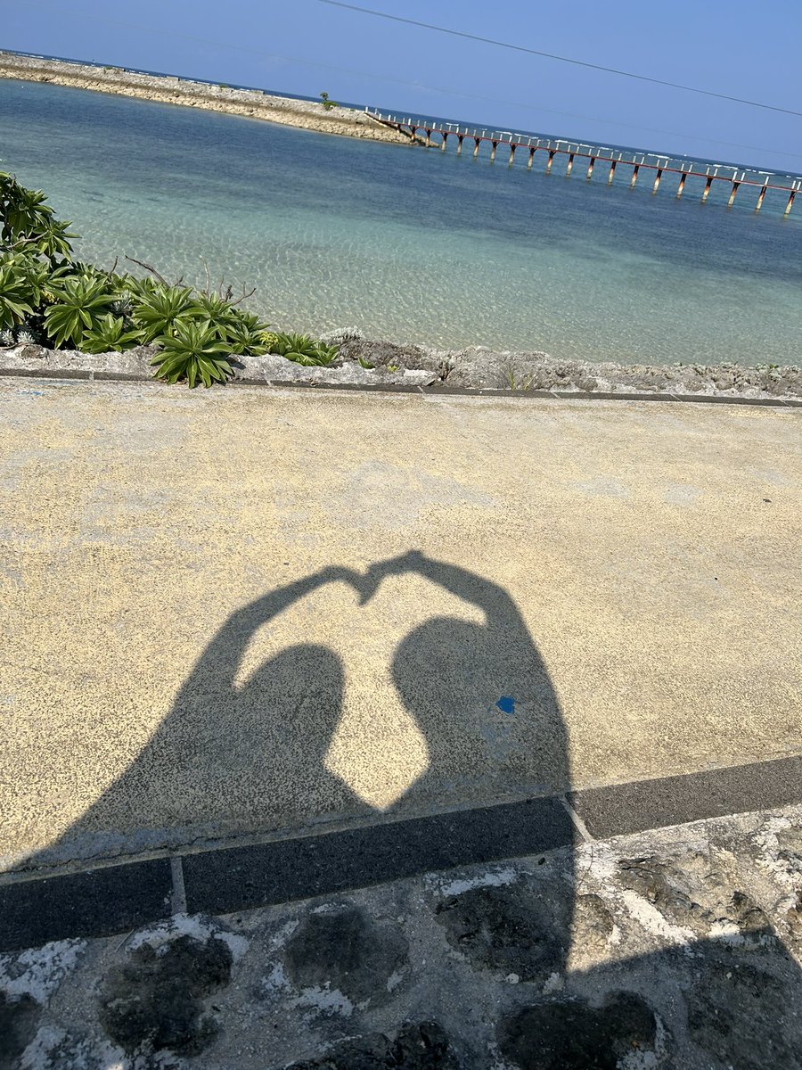 先月ですが、マリオットポイントで新婚旅行に行ってきました

アップグレードなしでしたが、身の丈を考えたら満足です🙆
せどりやってて良かったです