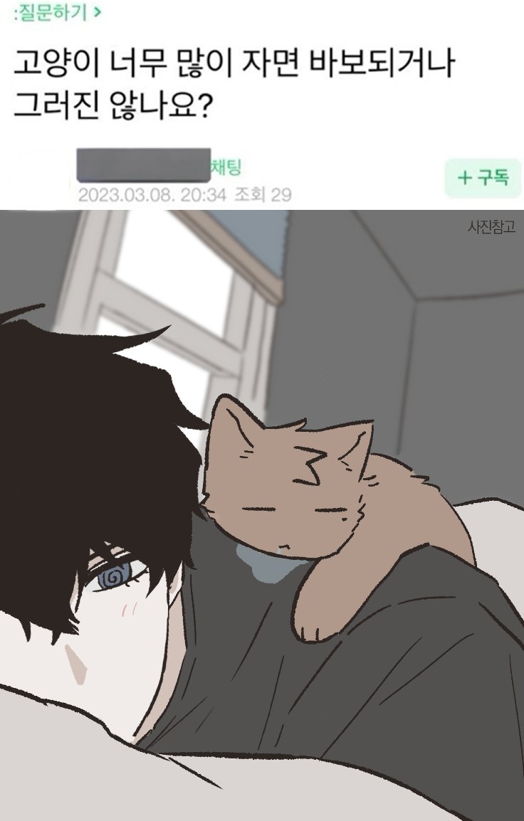 장래히망 tweet media