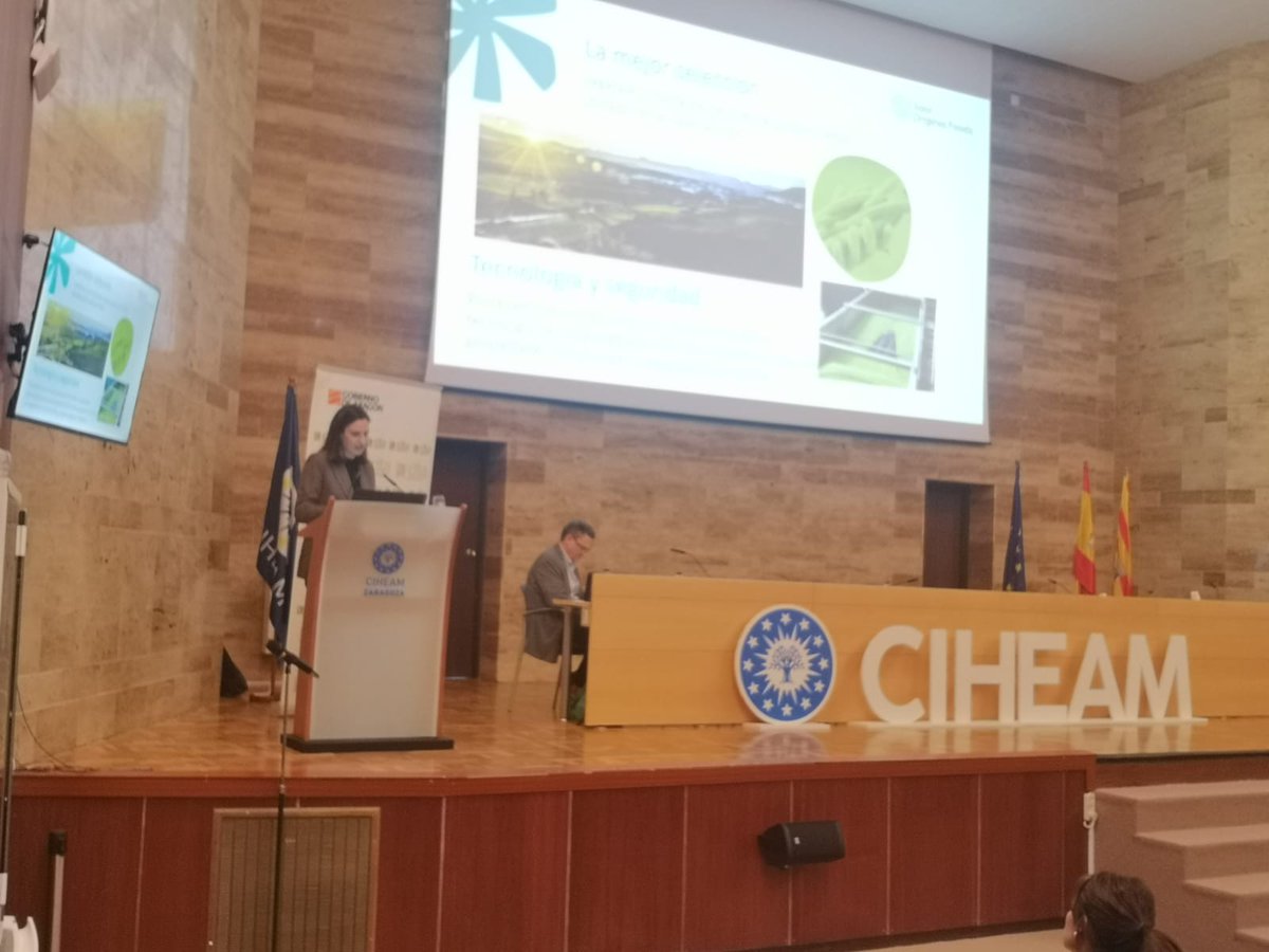 CITAAragon's tweet photo. En la segunda parte del Encuentro con Empresas conocemos casos de éxito de @CoopsAgroARA,  #OriginiaFoods  del grupo #SAMCA, y #Oviaragon @GrupoPastores 

#ciencia #investigación #agroalimentación

@CIHEAMZaragoza  @GobAragon https://t.co/yTGKFn47q9