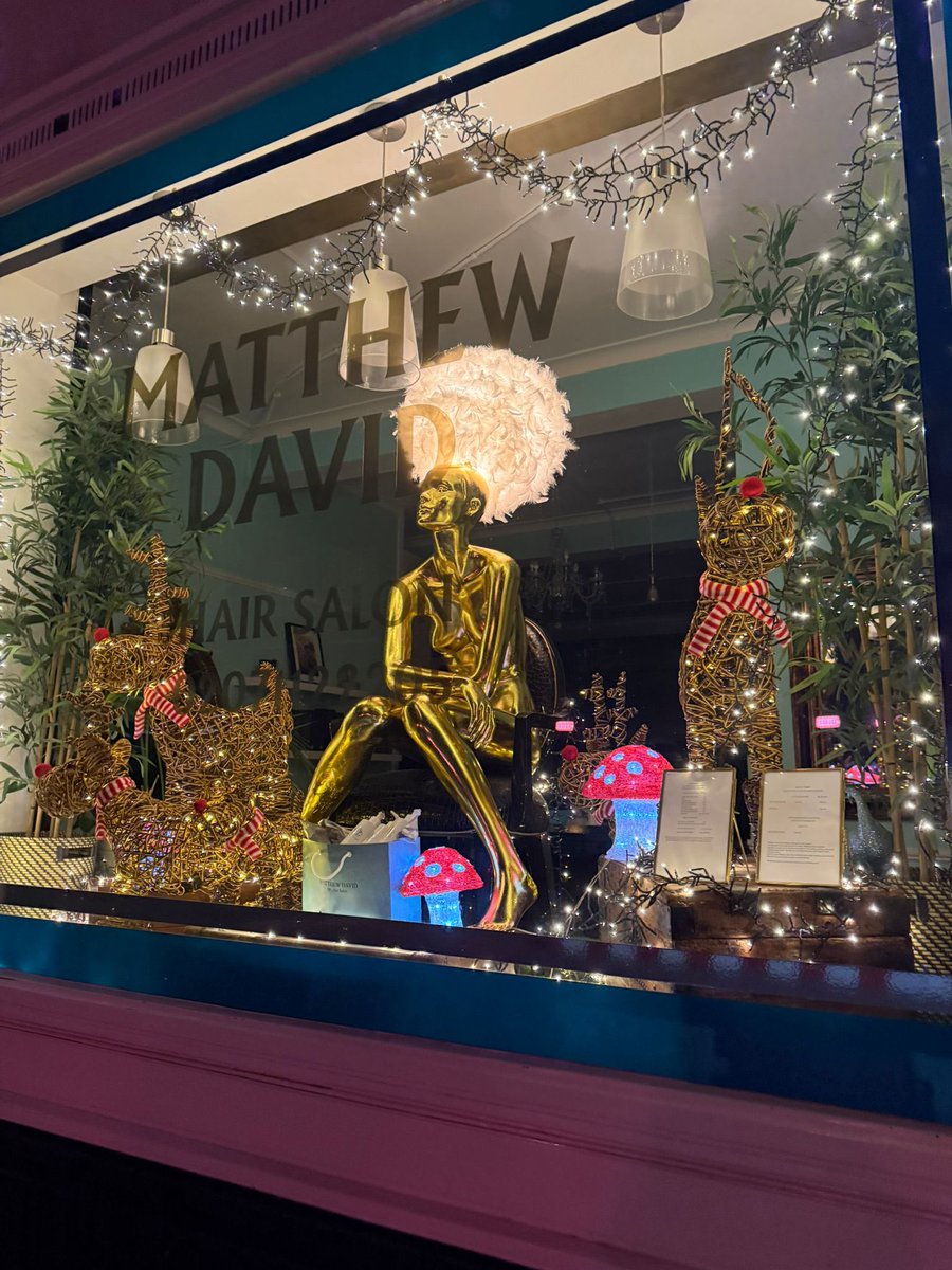 MATTHEW DAVID tweet media