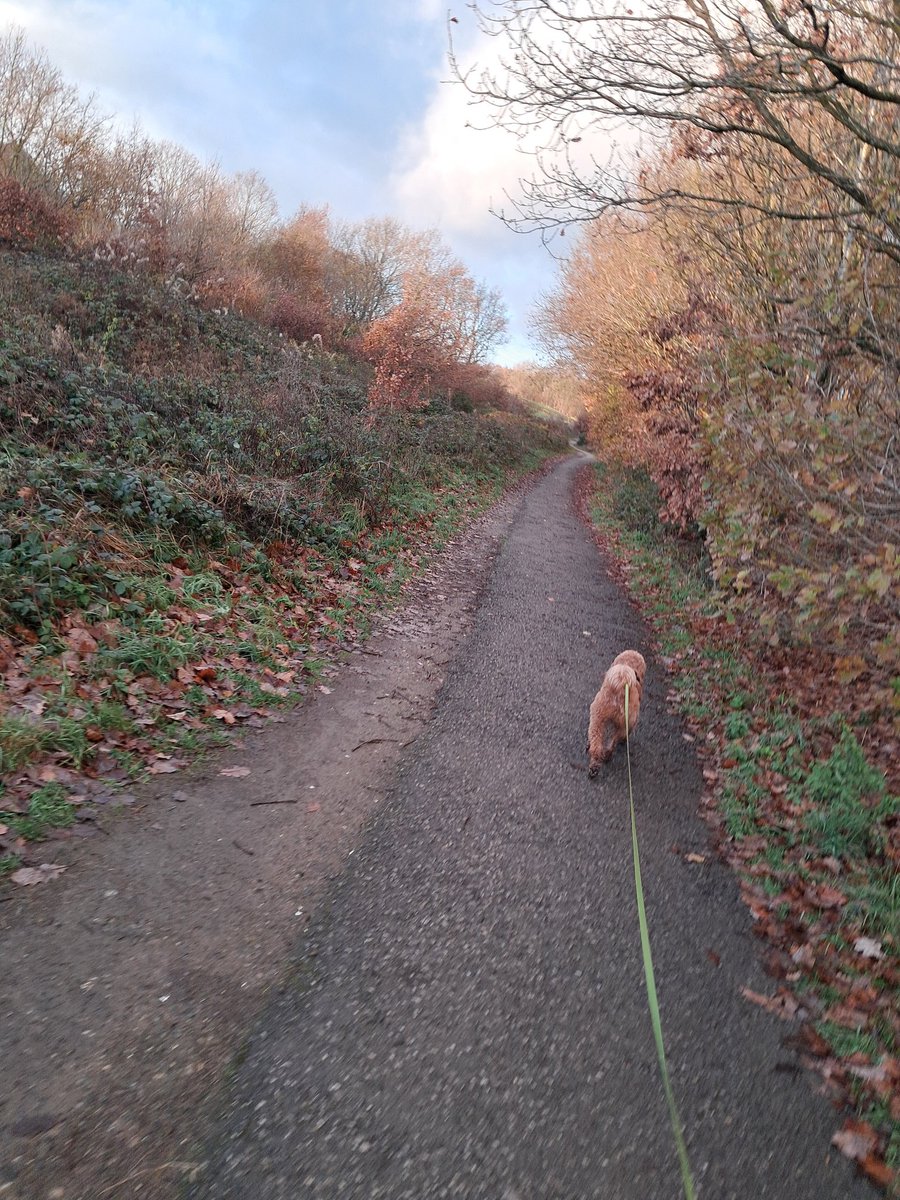 Andy Wright BEM tweet media