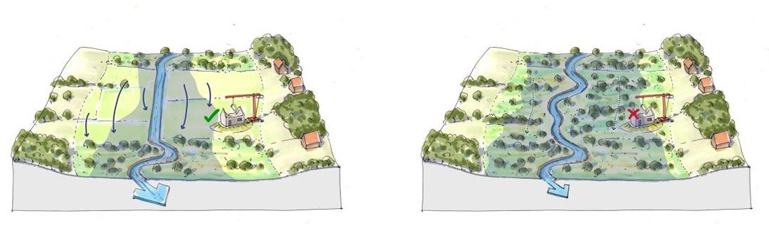👉Eliminación de encauzamientos y motas, recuperando trazados sinuosos que infiltran y retienen.