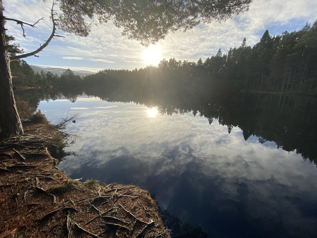 MrMBetts's tweet photo. Nice ride out to Glen Feshie and back. Bit of a winter feel. https://t.co/XB57ujexyI