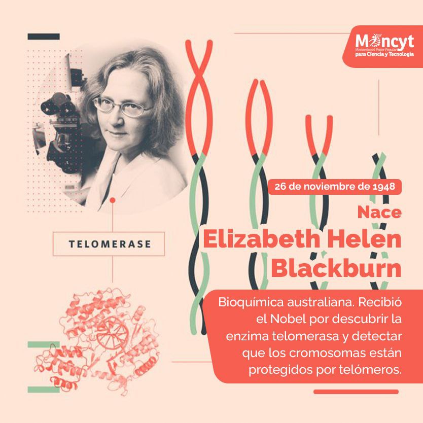 fundaciteportug's tweet photo. Conoce y comparte las efemérides de hoy #26denoviembre @Mincyt_VE https://t.co/fCpOvXafhv