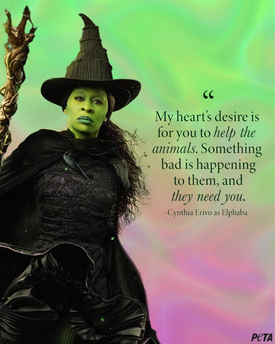 jaynees64's tweet image. #wicked #helptheanimals