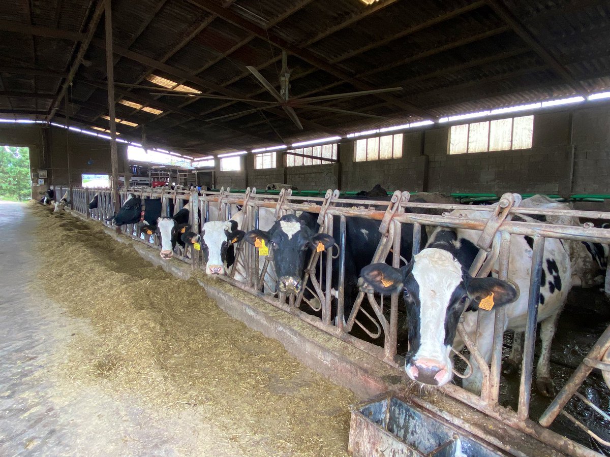 afca_es's tweet photo. Ganadería Exgacal en #Orejo #MarinadeCudeyo #Cantabria
Pronto en la revista de diciembre de AFCA 
https://t.co/gfsNeHo2E5
#vacas #leche #ganadería https://t.co/W5SBooXaLZ
